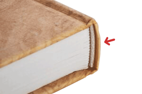 VOR DEM DRUCKEN: Eine kurze Anatomie eines Buches für ...